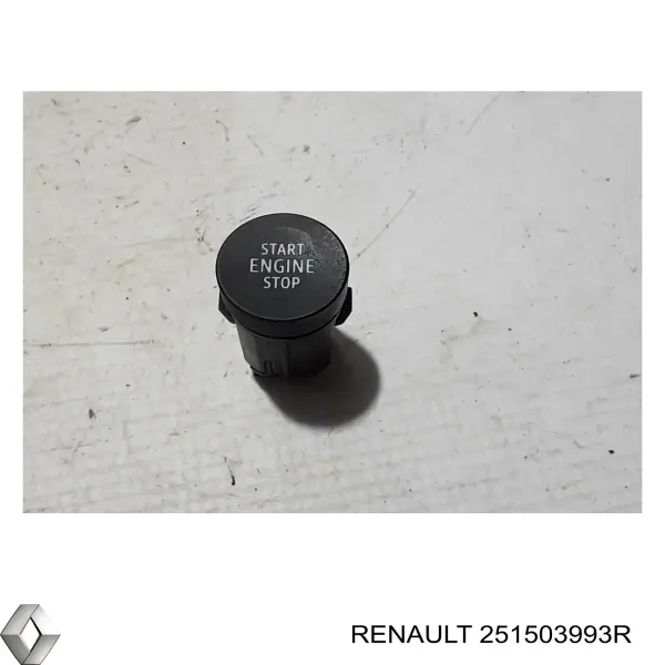  251503993R Renault (RVI)