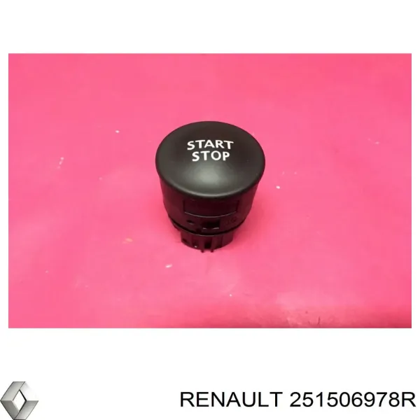 251506978R Renault (RVI)