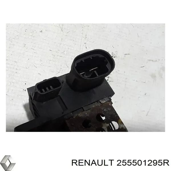  255501295R Renault (RVI)