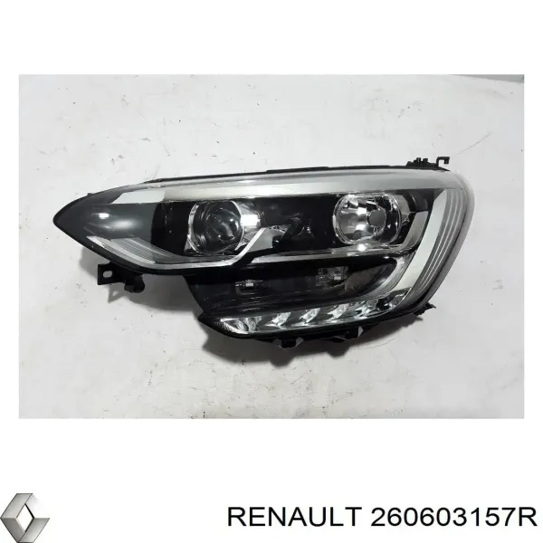  260603157R Renault (RVI)