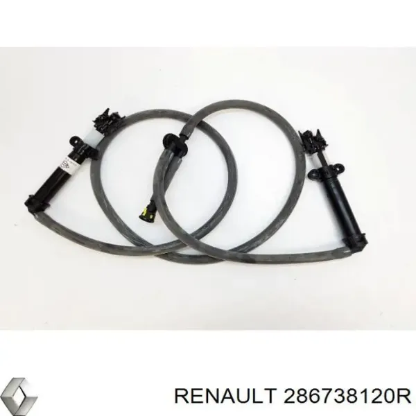  286738120R Renault (RVI)