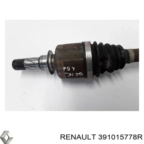  391015778R Renault (RVI)