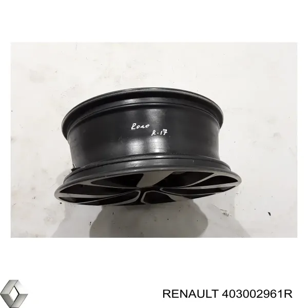  403002961R Renault (RVI)