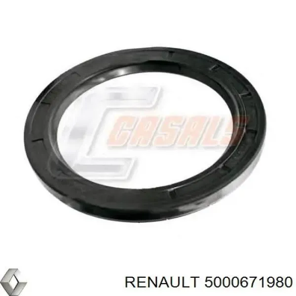 Сальник задней ступицы 5000671980 Renault (RVI)
