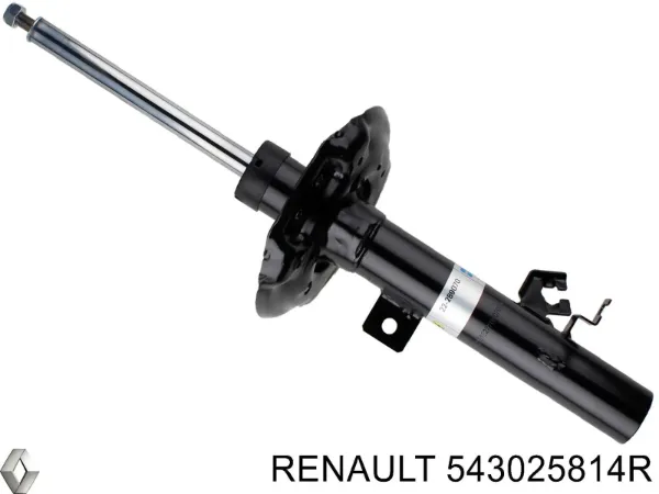 Амортизатор передний правый 543025814R Renault (RVI)