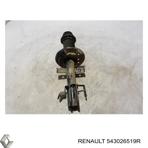  543026519R Renault (RVI)