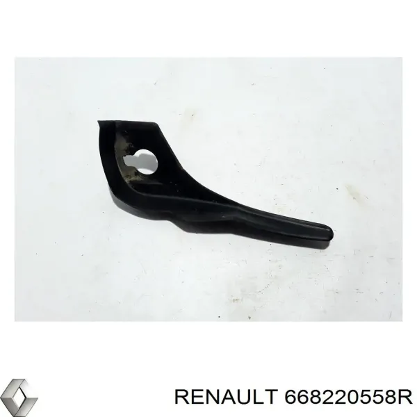  668220558R Renault (RVI)