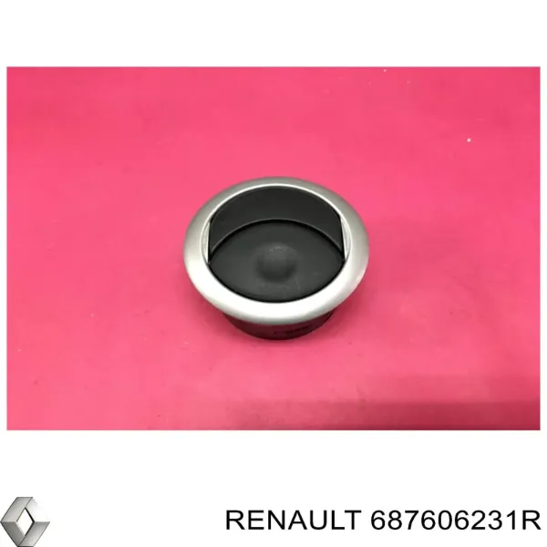  687606231R Renault (RVI)