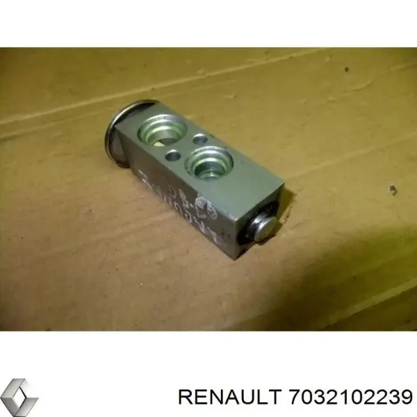  7032102239 Renault (RVI)