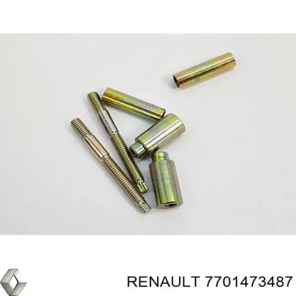 Болт крепления форсунки 7701473487 Renault (RVI)