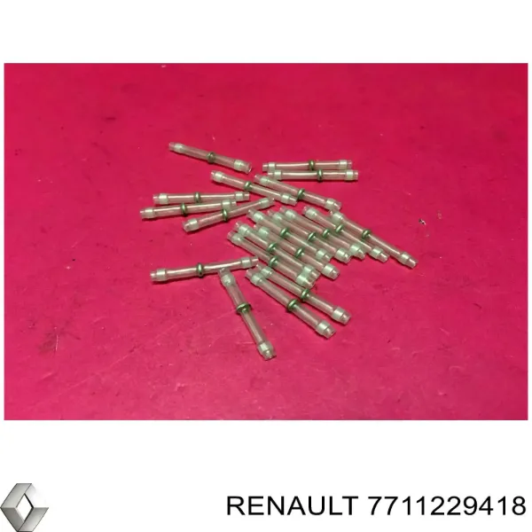  7711229418 Renault (RVI)
