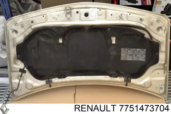 Капот 7751473704 Renault (RVI)