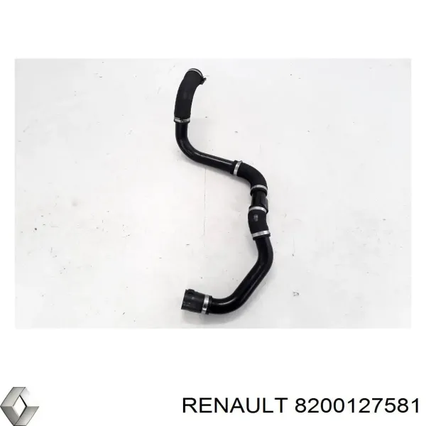  8200127581 Renault (RVI)