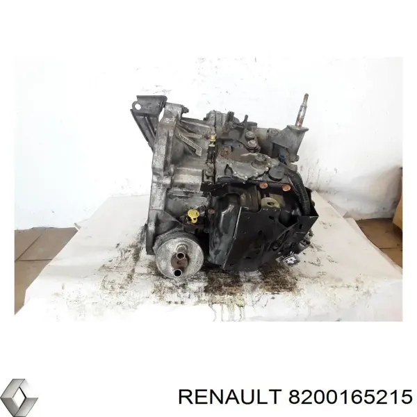  8200165215 Renault (RVI)