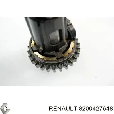 Автомобільний акумулятор Рено 60 А/г 12 В (8200427648)