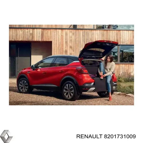  8201731009 Renault (RVI)