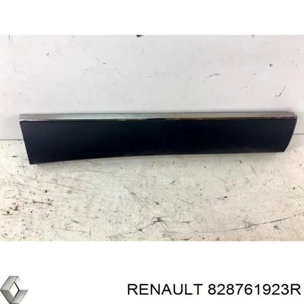  828761923R Renault (RVI)
