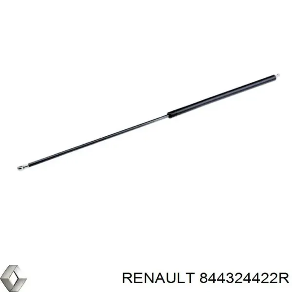  844324422R Renault (RVI)