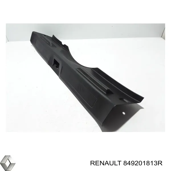  849201813R Renault (RVI)