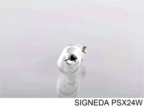  PSX24W Signeda