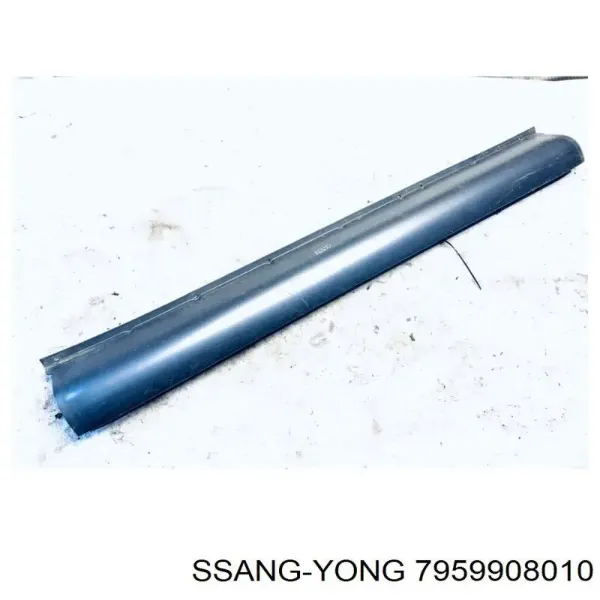  7959908010 Ssang Yong
