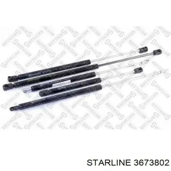  3673802 Starline