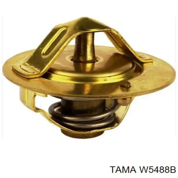 Термостат W5488B Tama