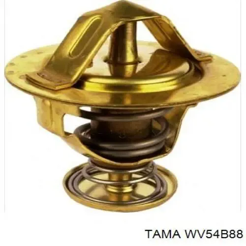Термостат WV54B88 Tama