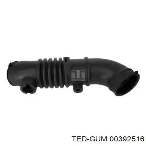  392516 Ted-gum