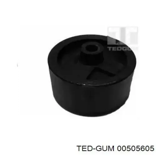  505605 Ted-gum