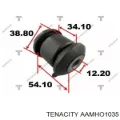 Сайлентблок переднего рычага TENACITY AAMHO1035