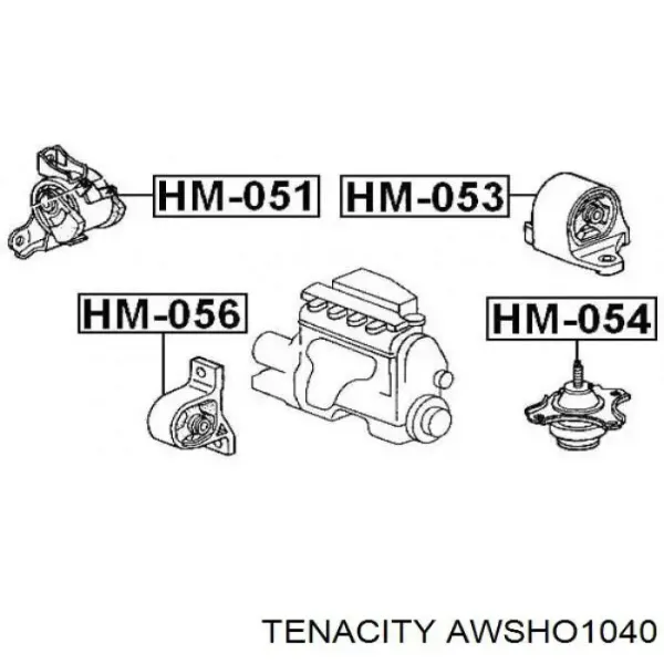 Задняя опора двигателя AWSHO1040 Tenacity