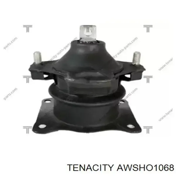 Передняя опора двигателя AWSHO1068 Tenacity