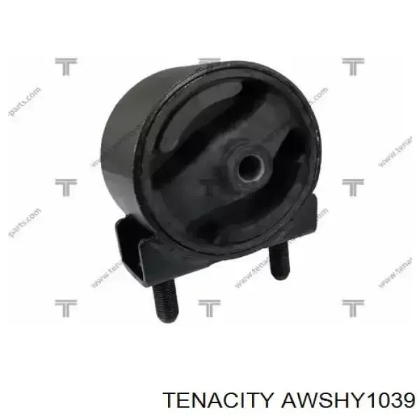 Задняя опора двигателя AWSHY1039 Tenacity