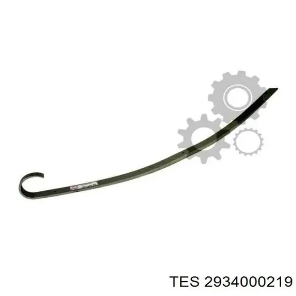 2934000219 TES