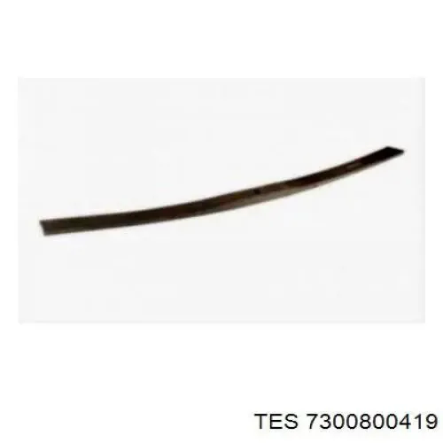  7300800419 TES