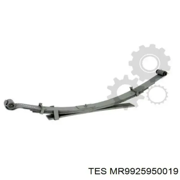  MR9925950019 TES