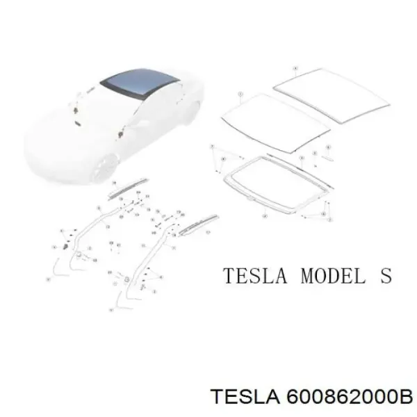  600862000B Tesla