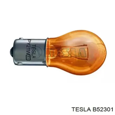Лампочка TESLA B52301
