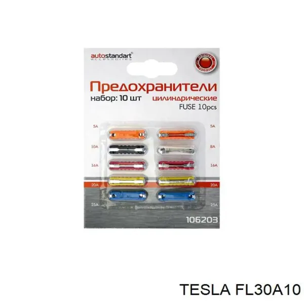 Предохранители FL30A10 Tesla