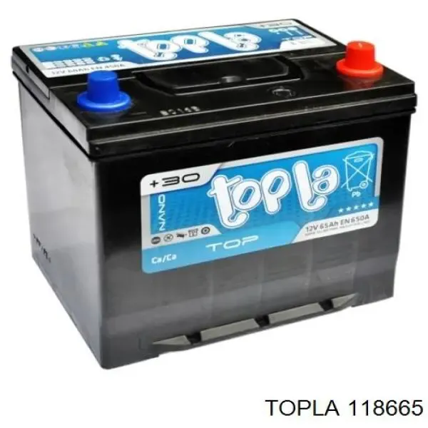 Аккумулятор 118665 Topla