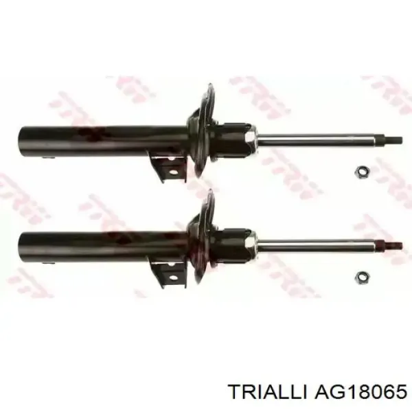 AG18065 Trialli Стойка передняя