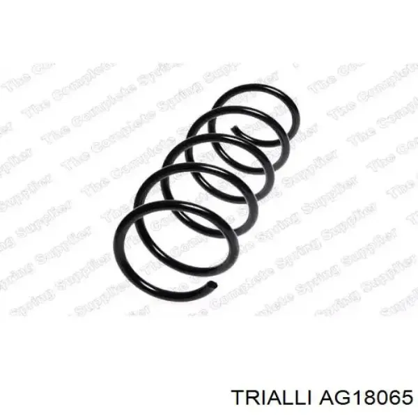 Купить AG18065 Trialli Амортизатор передней подвески