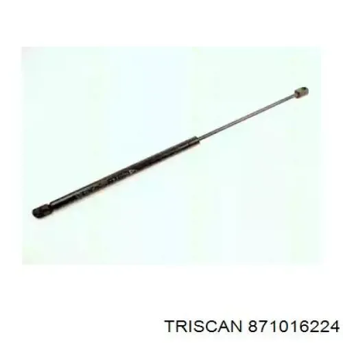  Амортизатор багажника Ford Escort 5