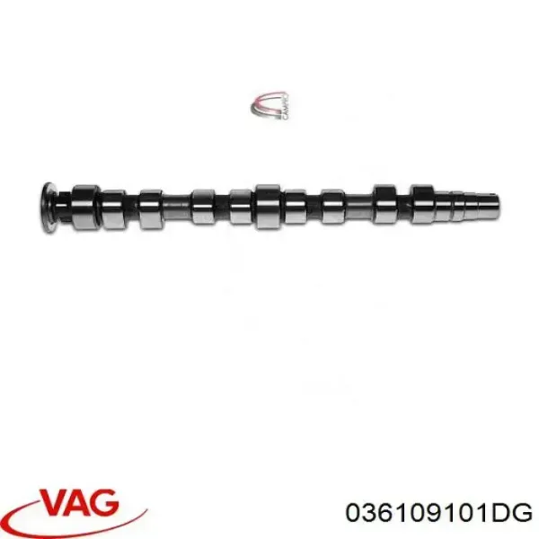 Впускной распредвал 036109101DG VAG