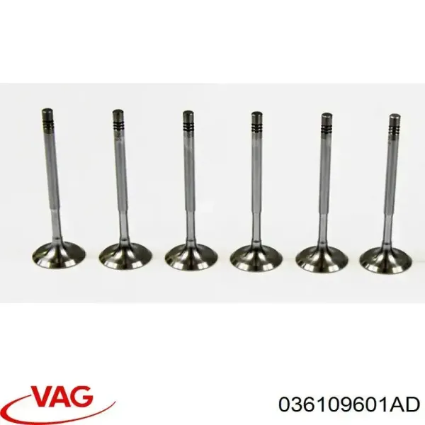 Впускной клапан 036109601AD VAG