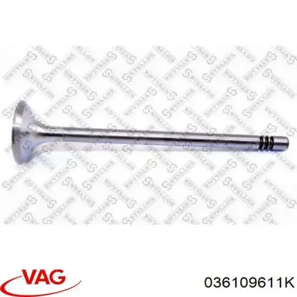 Выпускной клапан 036109611K VAG