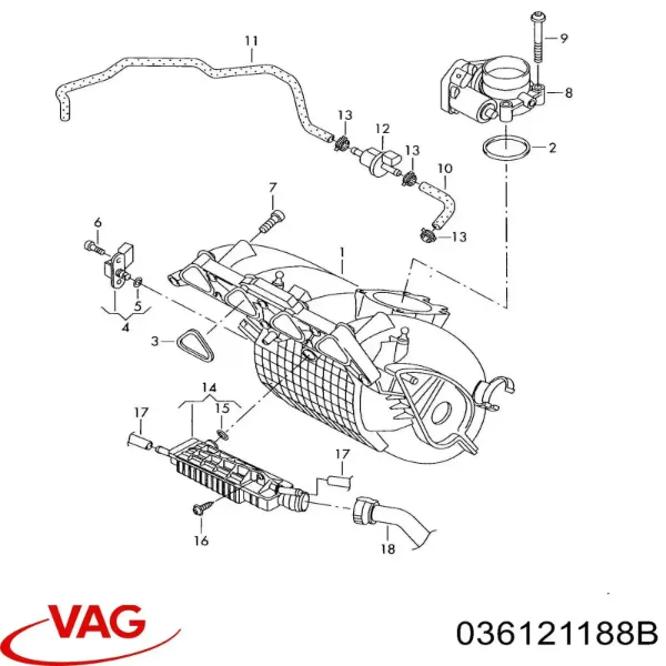 Купить 036121188B VAG Трубопроводы и шланги системы охлаждения