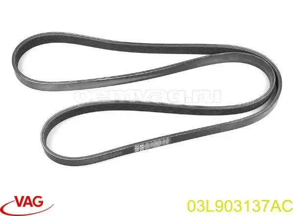 Ремень генератора 03L903137AC VAG