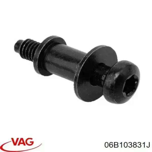 Болт клапанной крышки ГБЦ 06B103831J VAG